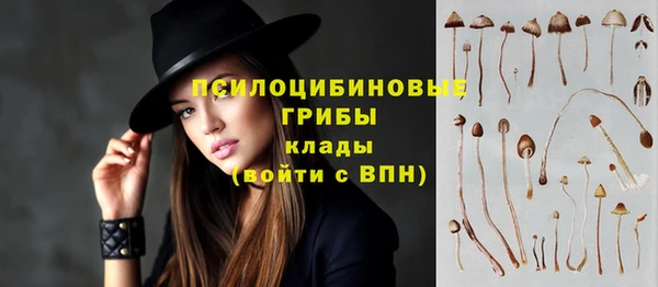 гидропоника Алзамай