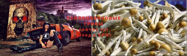 наркотики Абаза