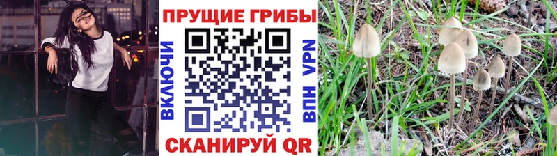 сколько стоит  Лодейное Поле  Псилоцибиновые грибы мухоморы 